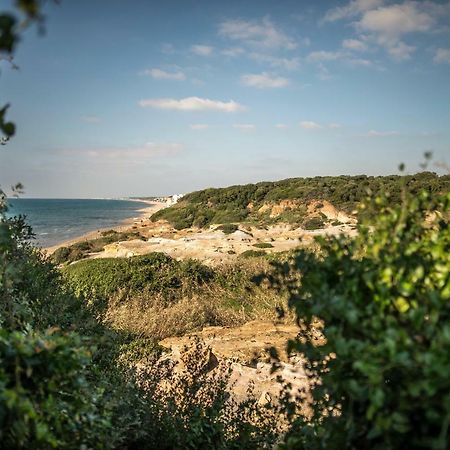 Vacationers Refuge Bed and Breakfast Anzio Exteriör bild